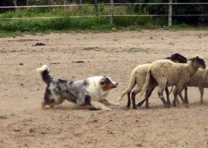 10270401_794351287249668_4496766144141923458_n