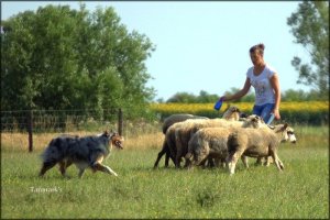 10338338_794350677249729_3758043636616788401_n