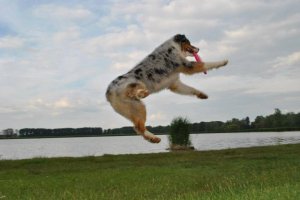 10341539_794349927249804_4489848646413716216_n