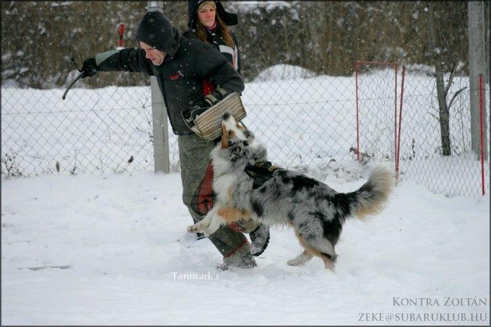 Az ÖV-t is mintha nekik találták volna ki.