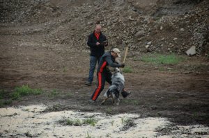 10371256_794351243916339_3808651859250286902_o