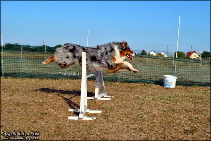 1625536_794350723916391_6950548076986051924_n