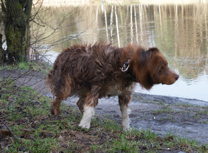 ...szval, hiányérzet, megrázom magam és...lett ebből egy poszt...mert bbbbbrrrrr