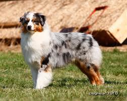 Tanmarks Diamond Mine "Sony"