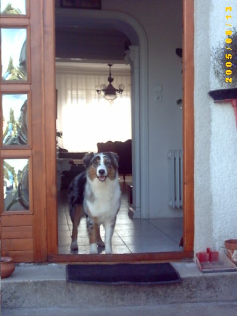 Kint is vagyok bent is vagyok, de ha nem muszáj, akkor inkább bent.