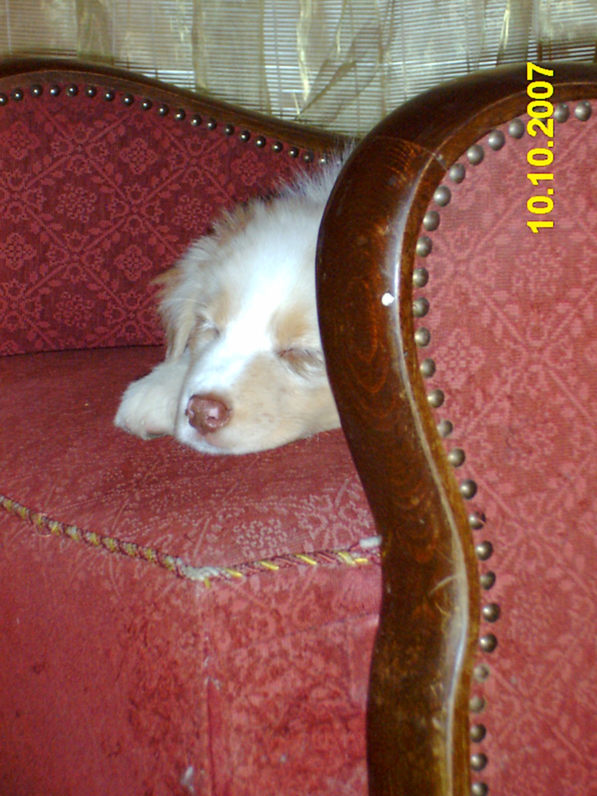 ...öreg fotelben...