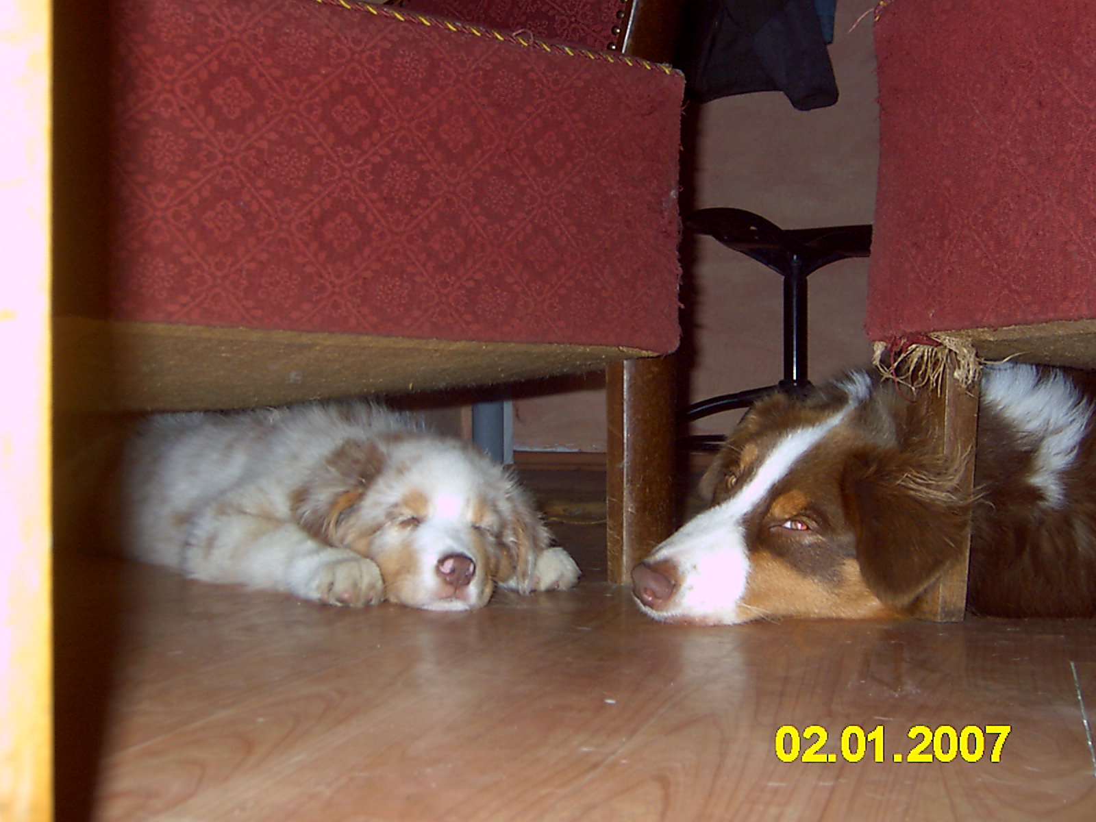 ...kettesben is megy....