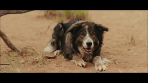 Pillanatfelvétel- 1 (2014.05.11. 7-36)