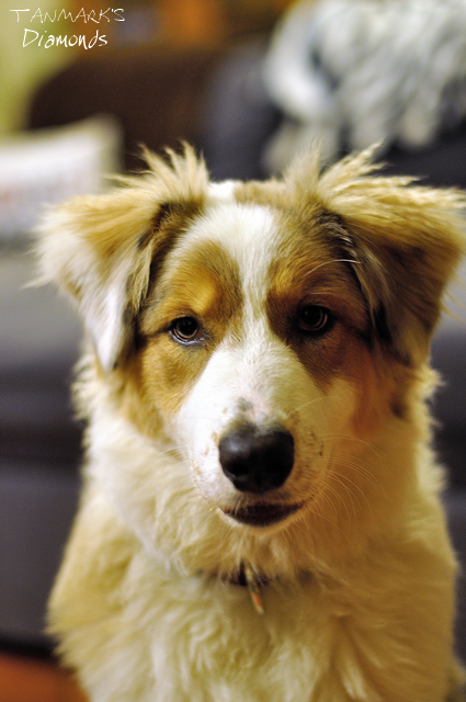 lllllléééDSC_0027_00005