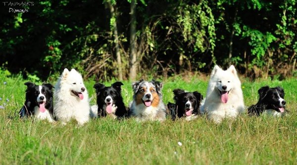 10339951_407473962725286_6532237854862530867_n