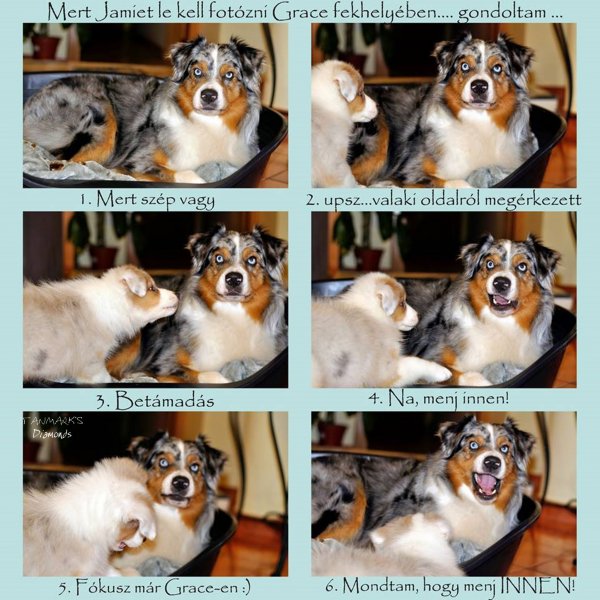 10414527_452608218211860_920733344427844043_n