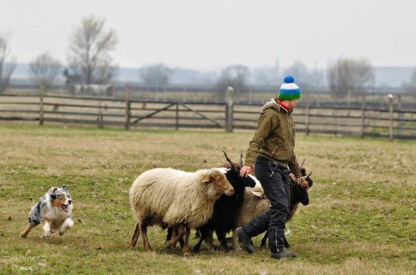 10478131_470378963101452_4978483415334174066_n