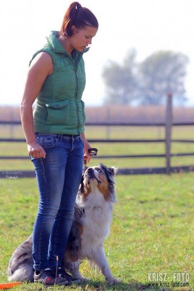 10492197_443908102415205_3143599943920955189_n