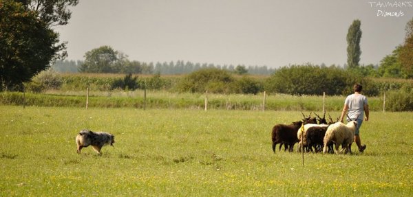 10517961_813312128693390_6332552305023405409_n