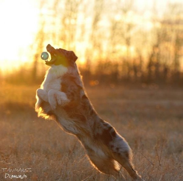 10850007_469269419879073_4260821298006106861_n