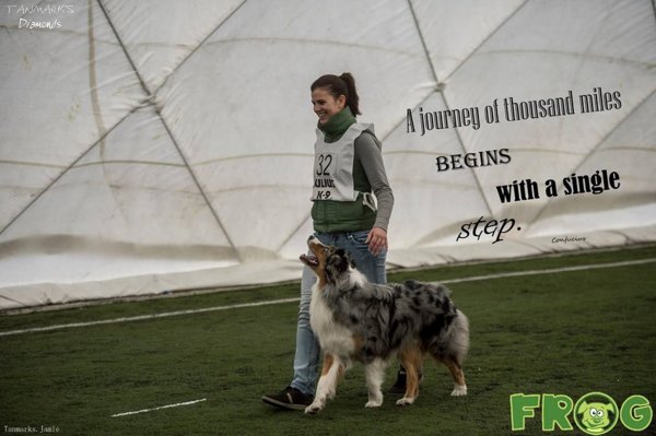 1780717_350136575125692_561327160_n