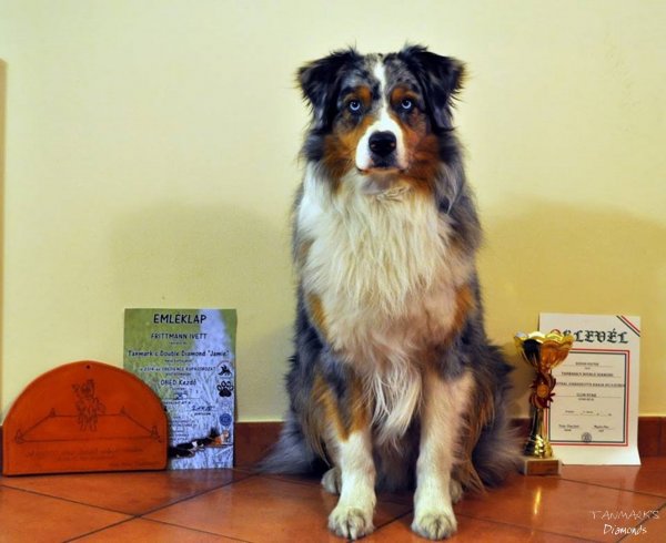 1981905_360415440764472_155257963_n