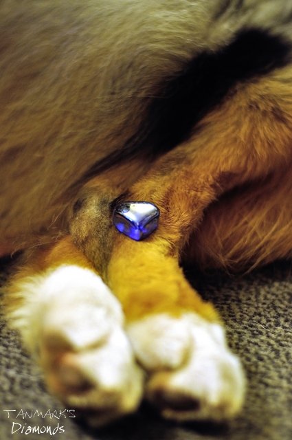 lábikóDSC_0019_00007