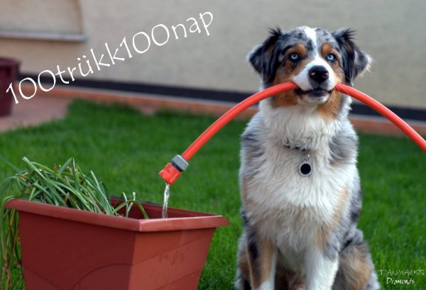 ddd10446180_388657521273597_8683854381131690755_o