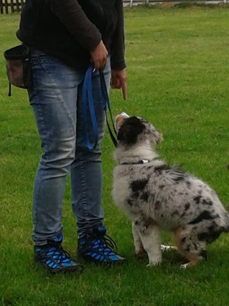 10612840_635069056609666_8366313289571428013_n