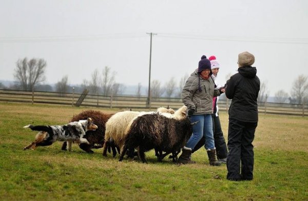 10858595_687933977989840_3235242694326911579_n