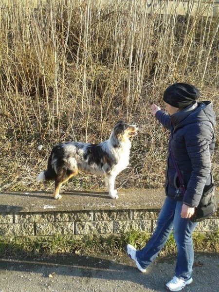 11002650_722864067830164_3370750253684846783_n