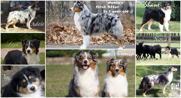 11144091_536667029805978_2022303604551814237_o