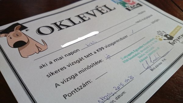 11171603_10204407550012178_1803219336_o