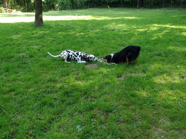 11203100_994622603882966_5315424741117451782_n