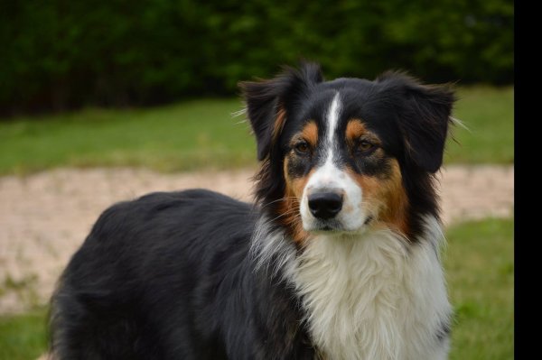 11212096_10204448862764971_351198819_o