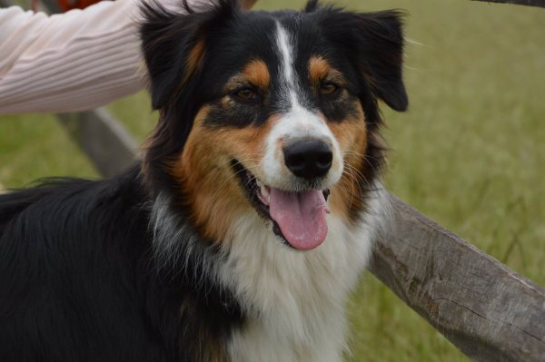 11281880_10204606007973503_2096322472_o