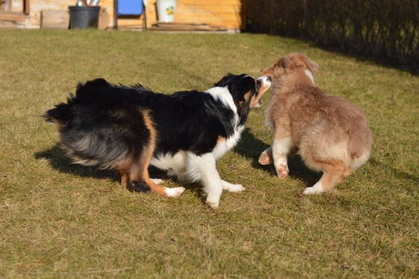 11294480_10204606084935427_837529729_o