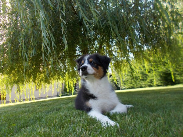 11335724_10204606027493991_213677263_o