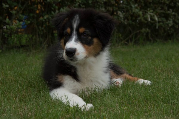 11354514_10204606019133782_2036751050_o