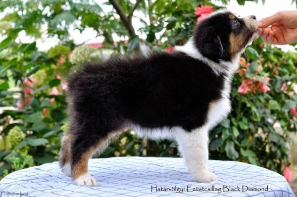 2014_07_13__3__001 (1)