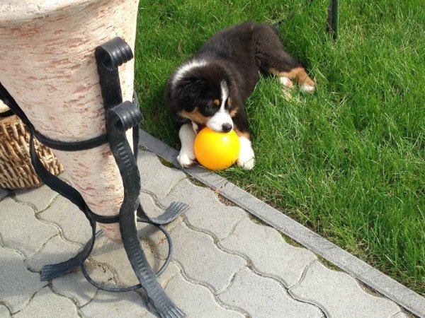 10268615_1071446866205412_5210962318375320049_n