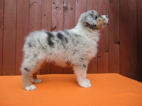 10272471_839443962732912_7072656553503010414_o