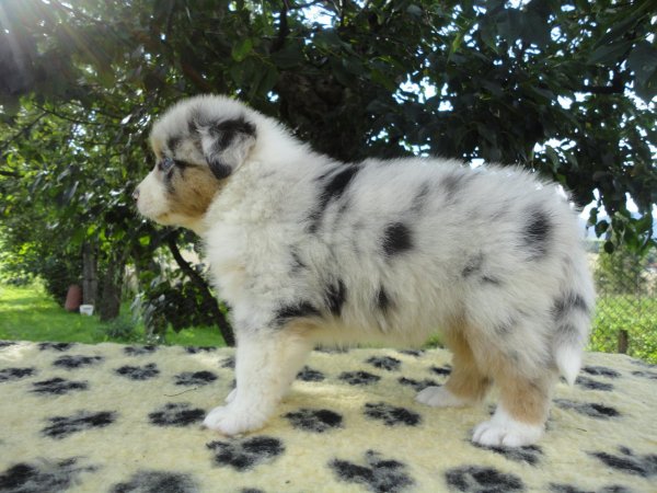 10362779_832756666734975_7617669544019476176_o