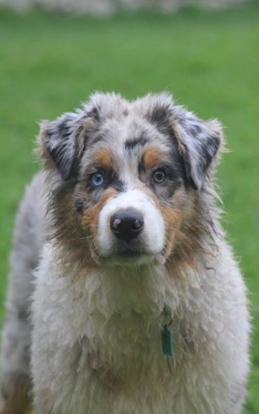 10377994_879518235392151_986805947737697073_n