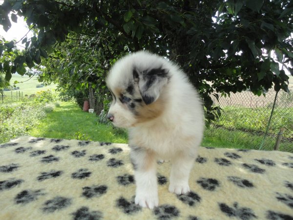 10397018_832756760068299_1196947554147356_o