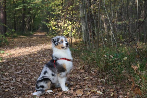 10419963_561985433932770_3548503642143109206_n