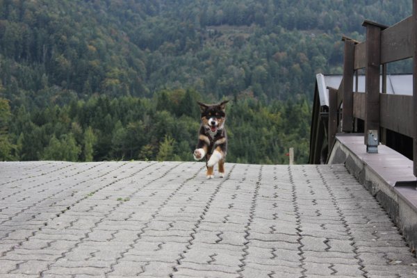 10428401_10204798526873652_6119169733505181634_o