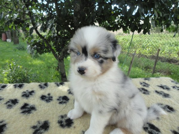 10467129_832756700068305_4122011930550944008_o