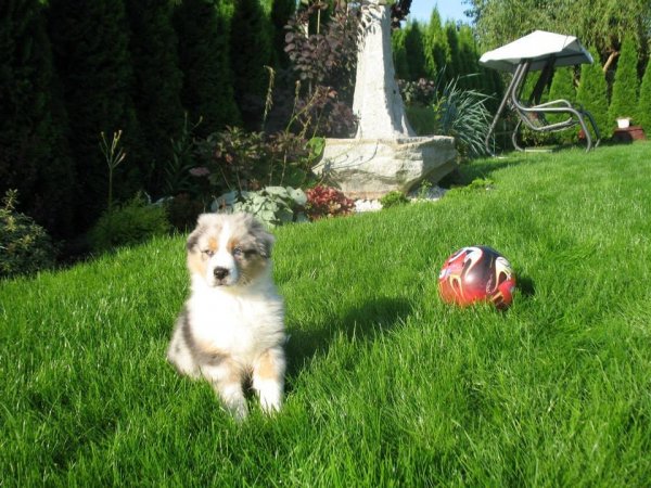 10471316_534580256673288_7914680398400220629_n