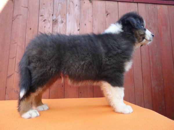 10497198_839443539399621_6332857105013868412_o