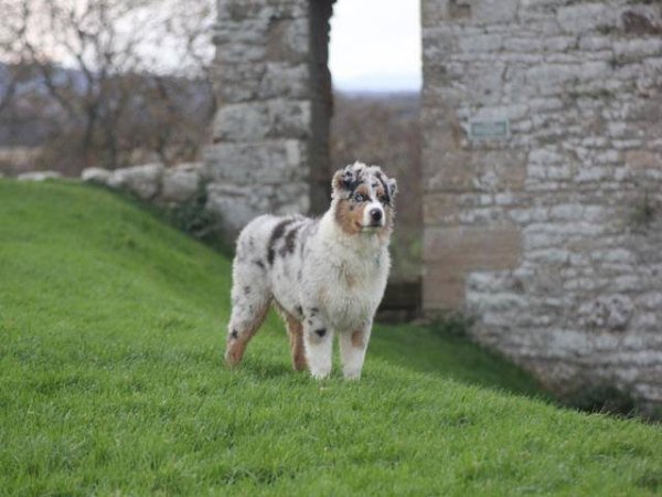 10516767_879518242058817_2418603352469006777_n