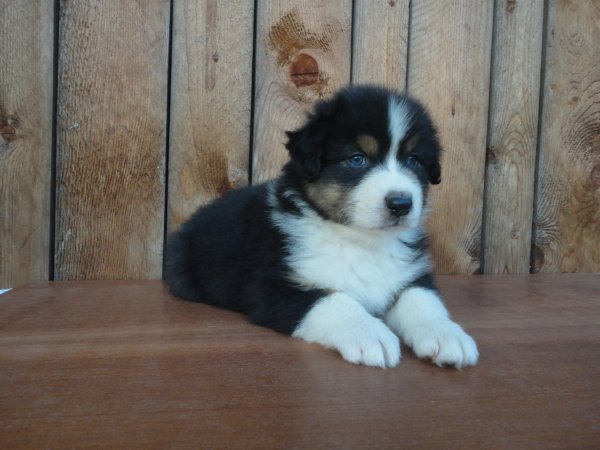 10608253_835488193128489_543352526878200543_o