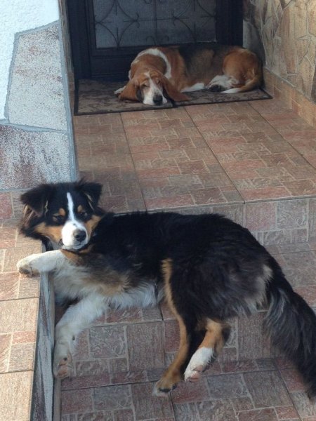 10616625_1071645872852178_4227248171994978402_n