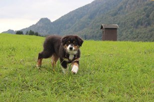 10653624_10204361442706821_5614915769105763572_n