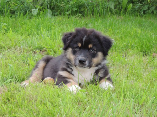 10669365_847919698552005_5011607591107288899_o